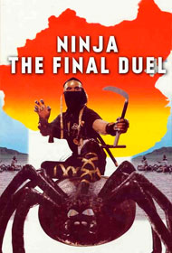 Portada Ninja Vs. Shaolin: Duelo Final