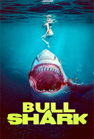 Portada Bull Shark