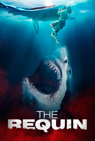 Portada Sharkwater