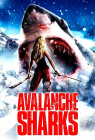 Portada Avalanche sharks