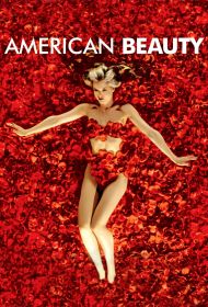 Portada American Beauty